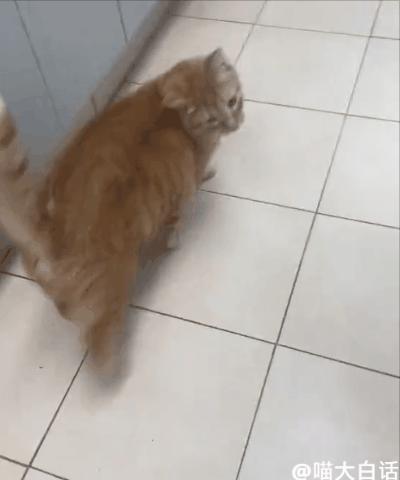 当富豪看到自己的国家队输球后...哈哈原来有钱人也会不高兴！