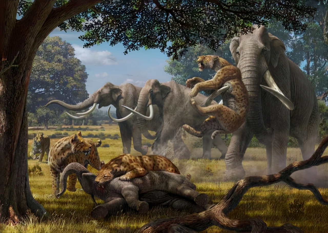 巨型猛犸为何灭绝,猛犸多少年前灭绝的