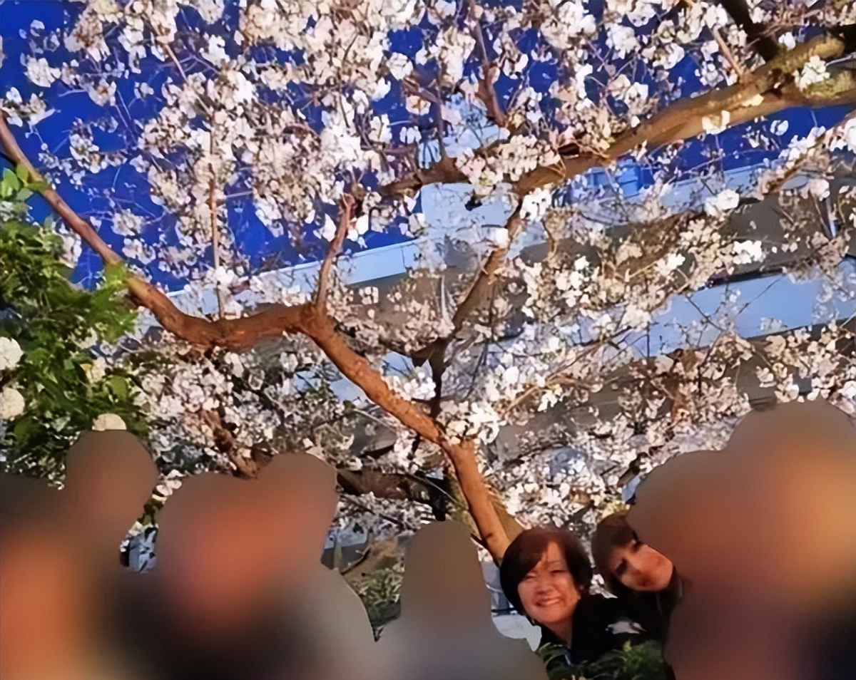 日本前首相安倍晋三演讲时被枪杀,安倍晋三演讲时胸部中枪死亡