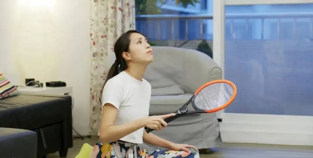 蚊子最怕的不是蚊香而是它,蚊子最大的天敌不是蚊香教你一招