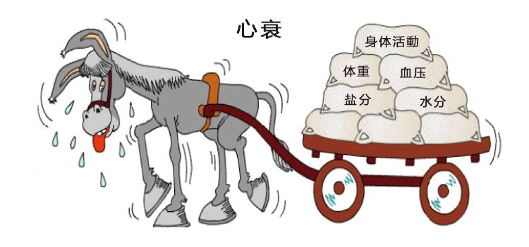 抑制心脏收缩力的美托洛尔（倍他乐克），如何成了治疗心衰的良药