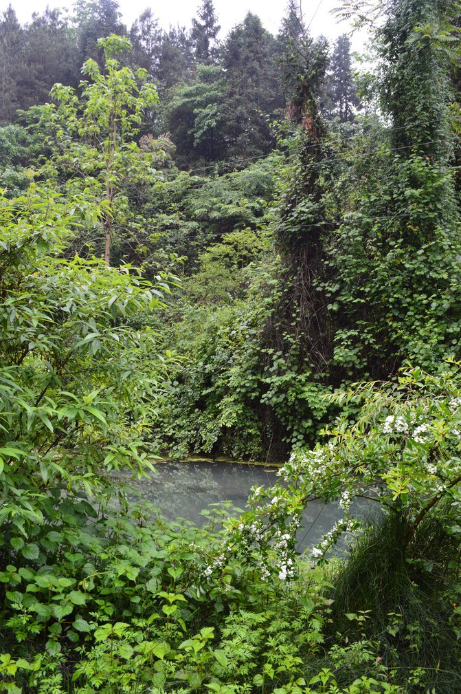 宣恩一座小城,湖北宣恩美丽的小城