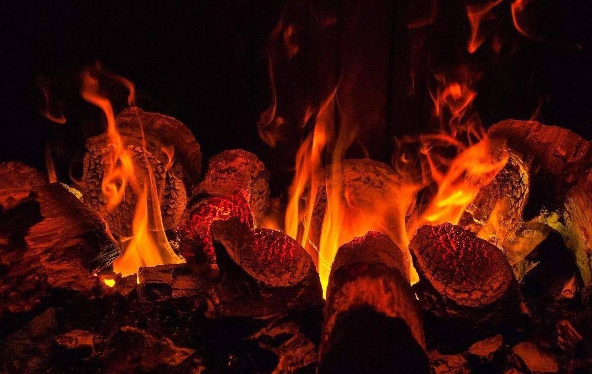 金木水火土对应的茶,茶包含了金木水火土