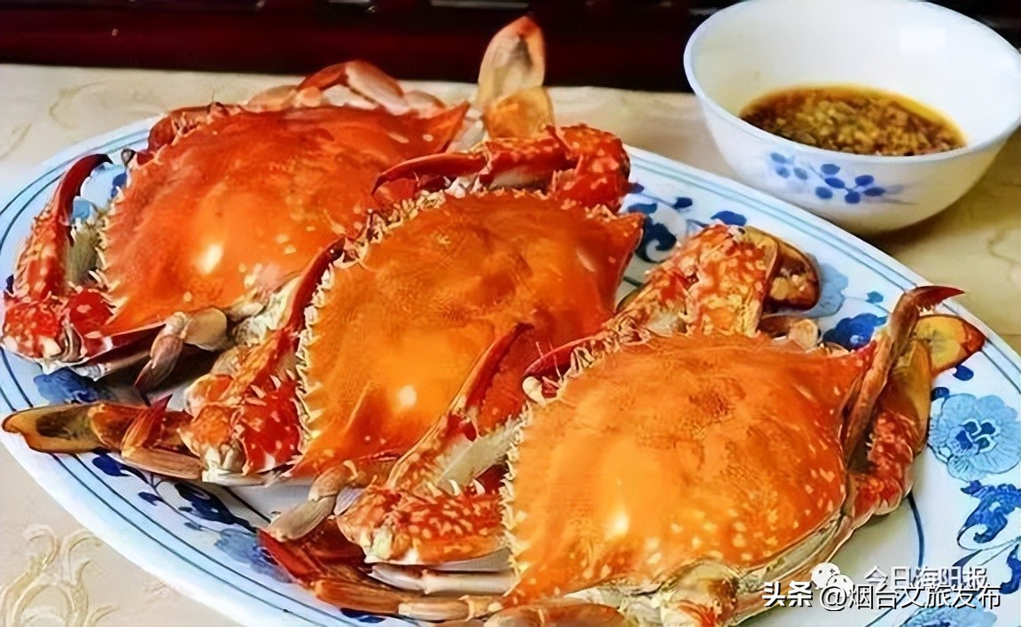 山东海阳十大美丽城市,海阳市全国排名