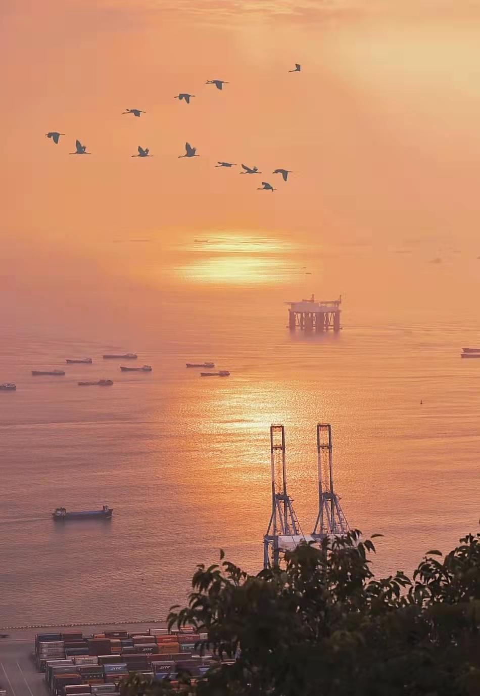 我为什么选择深圳,我为什么建议你来北上广深奋斗