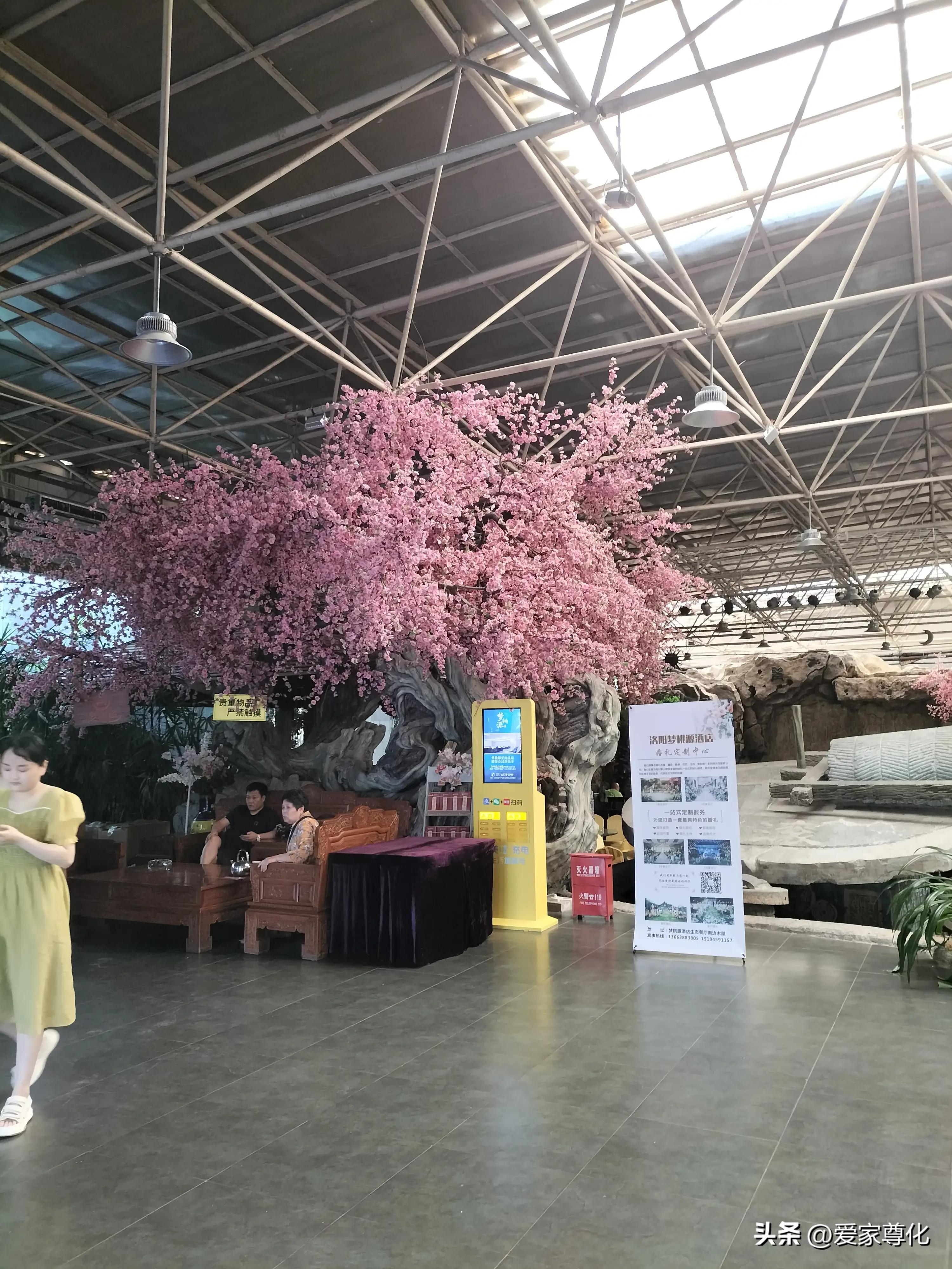 记录我的2023年旅行,记录2023年我的旅行生活