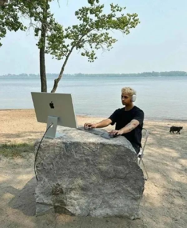 这个字怎么读图片,这个字怎么读蒟蒻