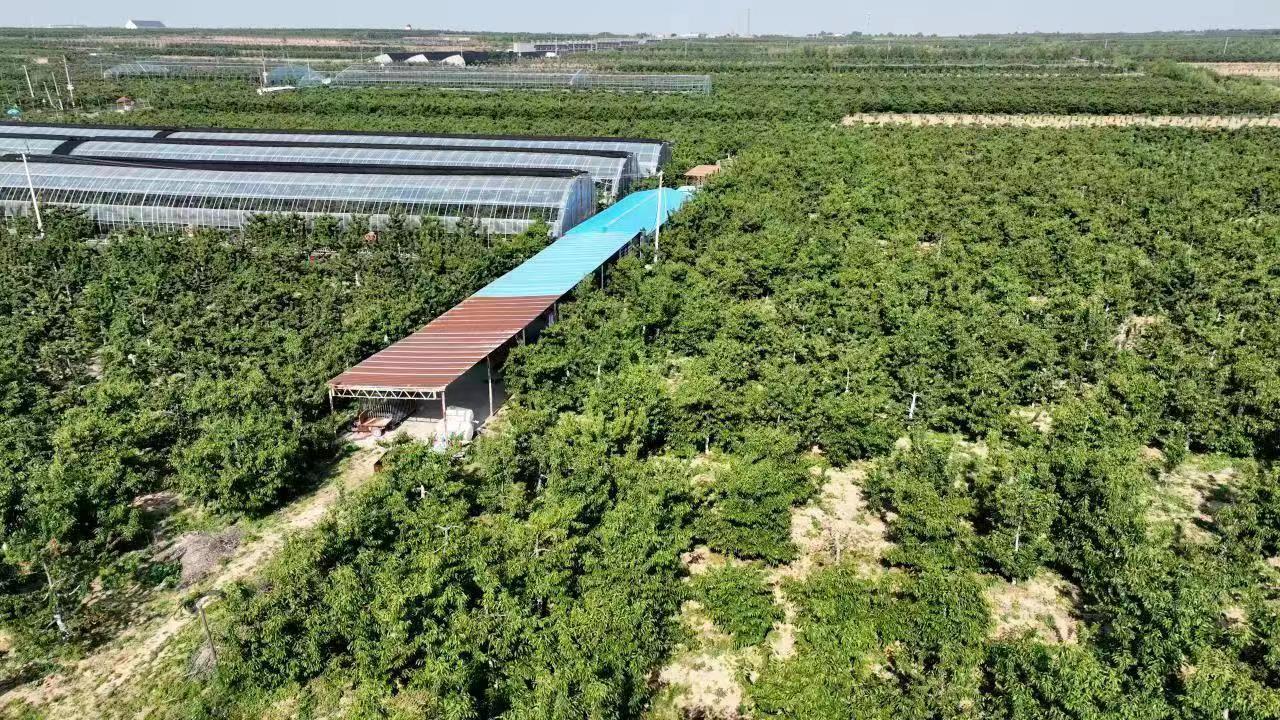 鍏氬缓寮曢灏忔ū妗冨ぇ浜т笟,鍚堥槼鍘块噾宄晣鍏氬缓