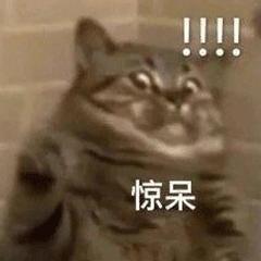 吃米饭和吃馒头哪个减肥,减肥吃馒头和米饭哪个热量高