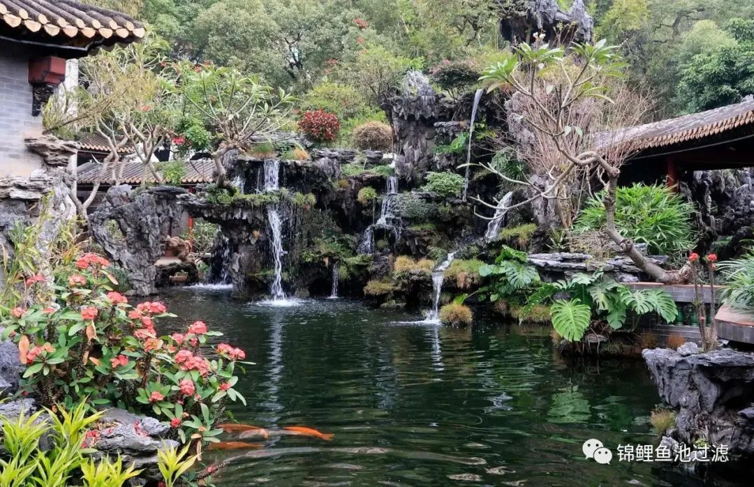 水色宜居的利弊,水色和水质是什么意思