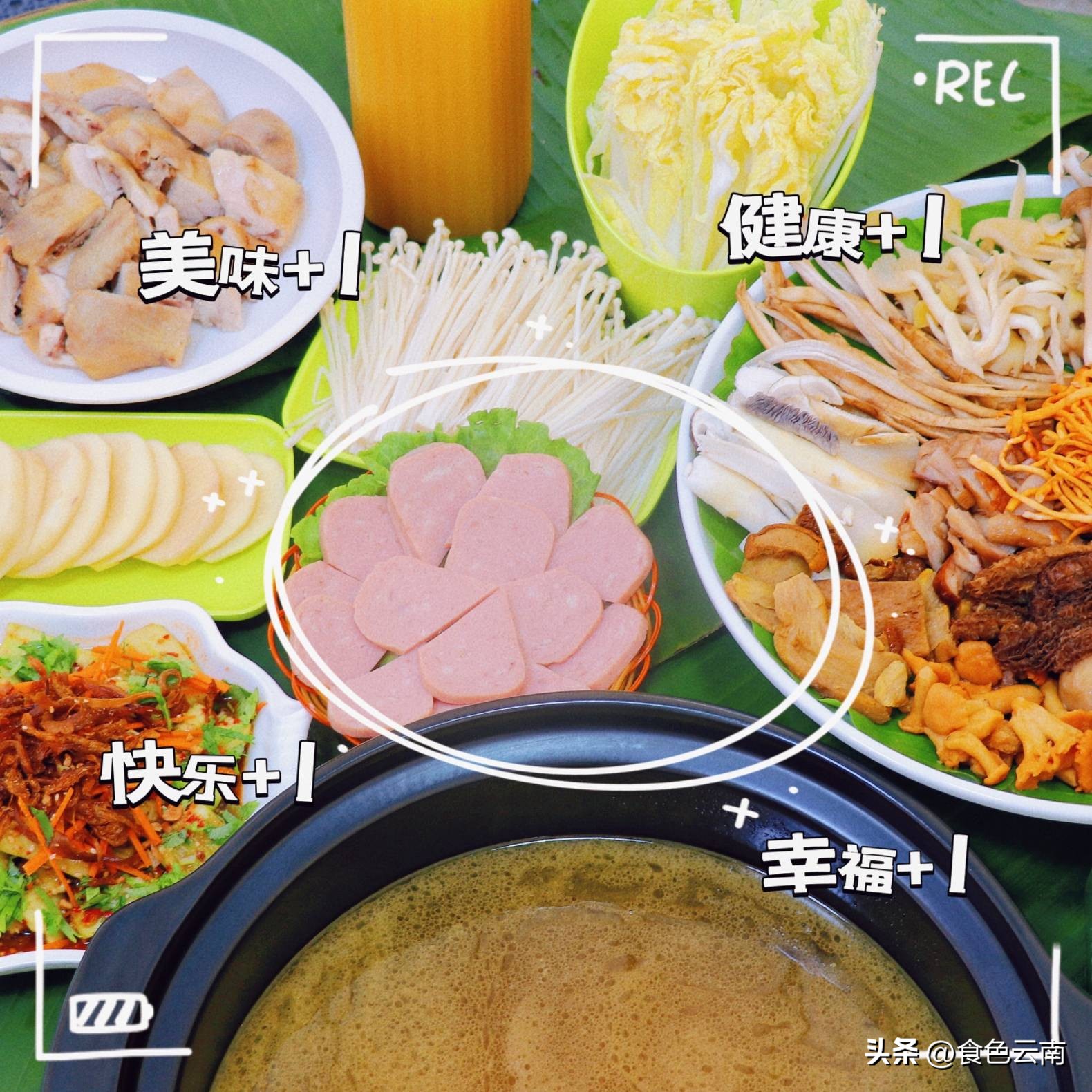 菌海森林野生菌火锅西双版纳,西双版纳野生菌推荐