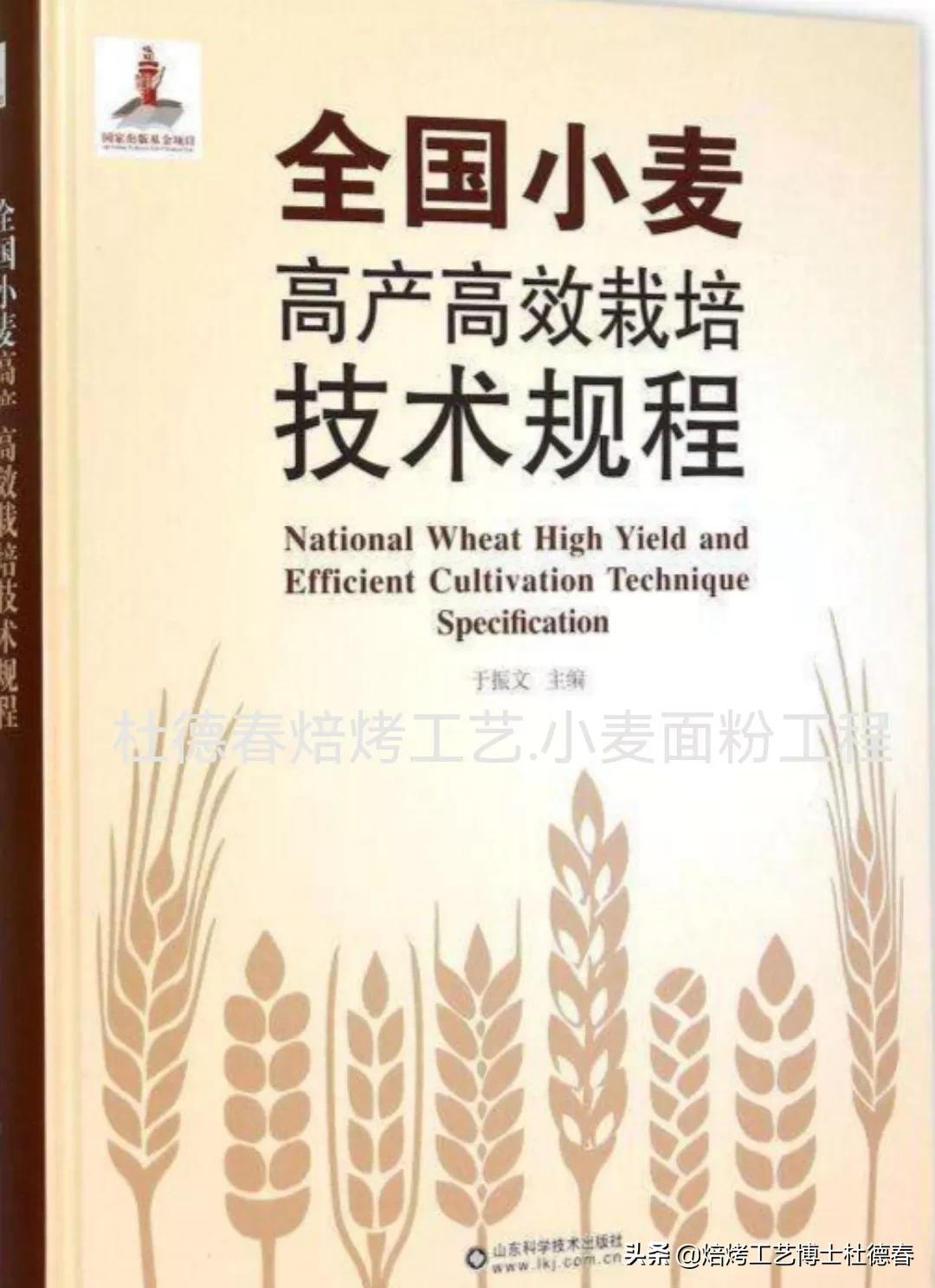 做面包饺子用什么面粉,做水饺馒头用什么面粉最好