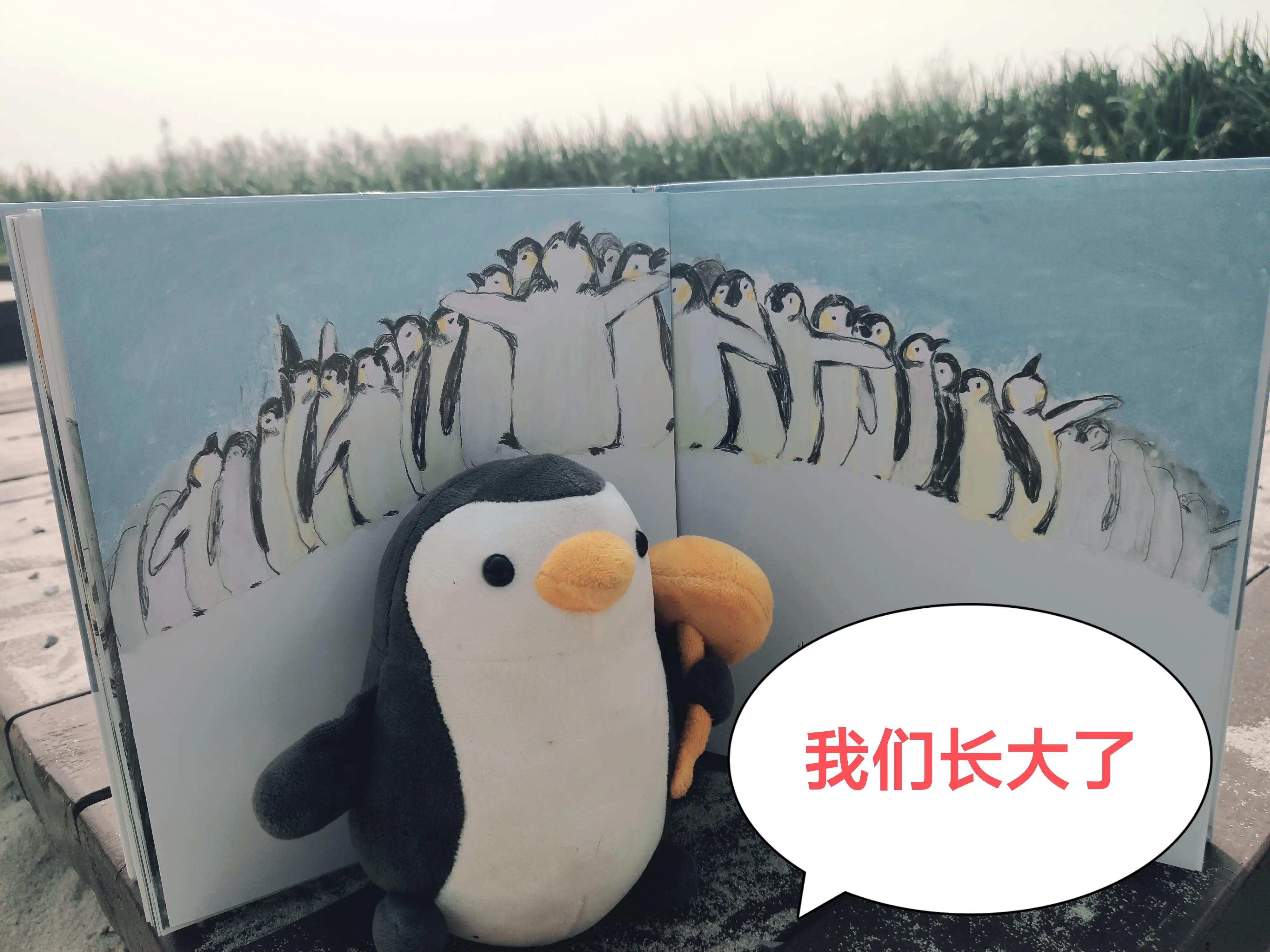 帝企鹅歌曲原唱,帝企鹅谈恋爱