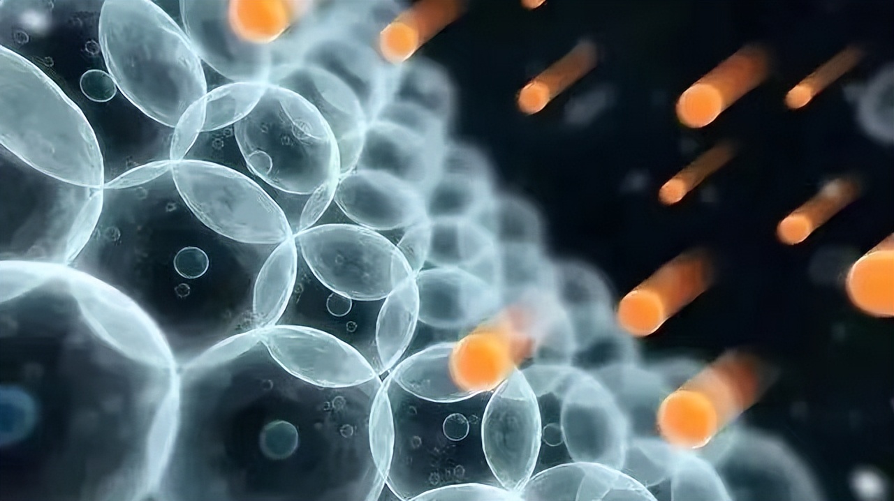 金木水火土对应的茶,茶包含了金木水火土