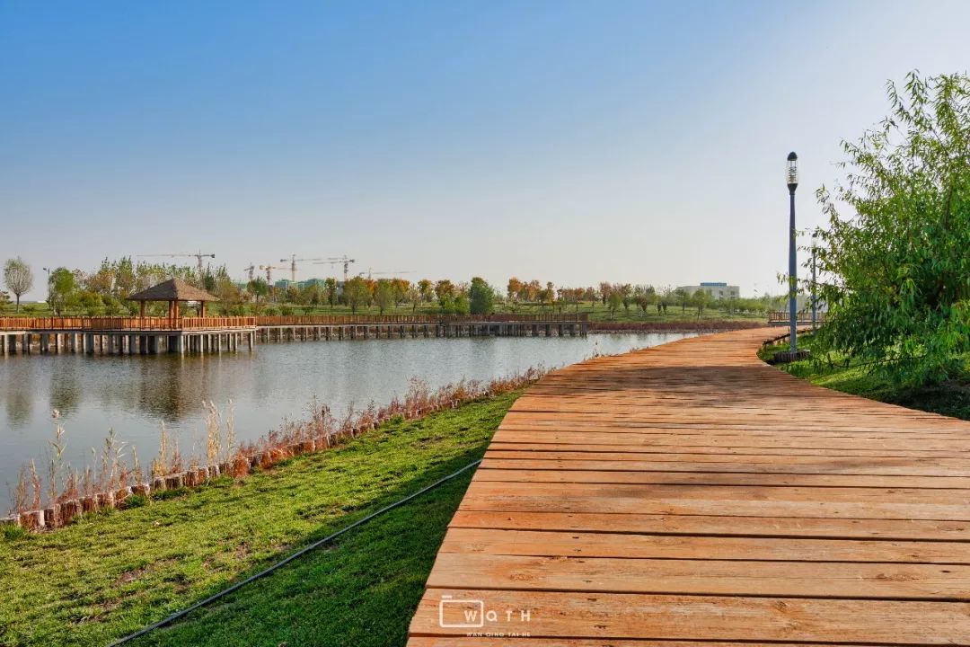 生态城新的公园,城市运动公园最新规划