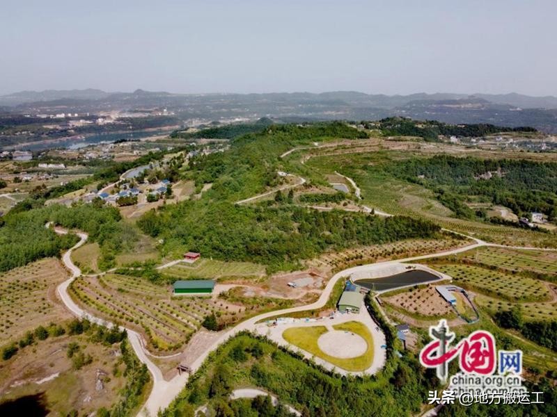 四川苍溪：特色产业串起“致富链”