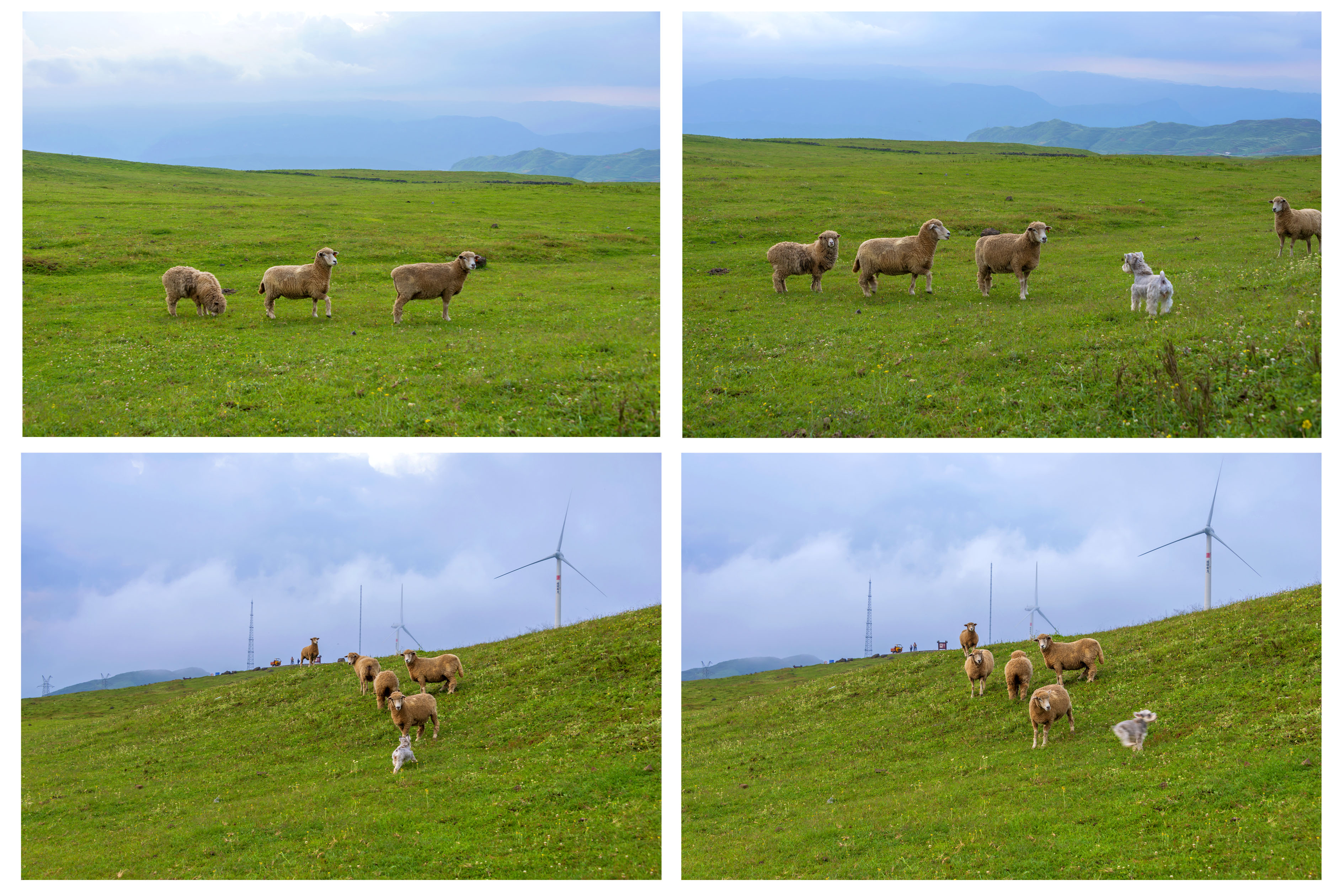 避暑六盘水，秋摄黄果树到北海过冬养老，又是一个小确幸？