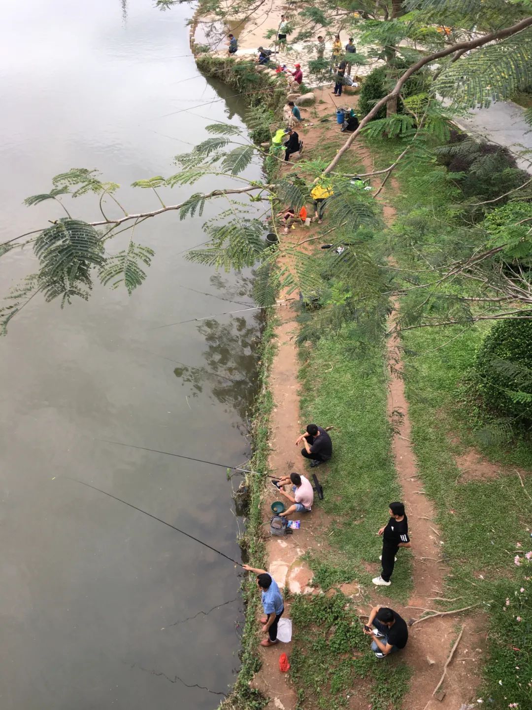 《旭光骑行深圳》第22站——龙华区观湖街道