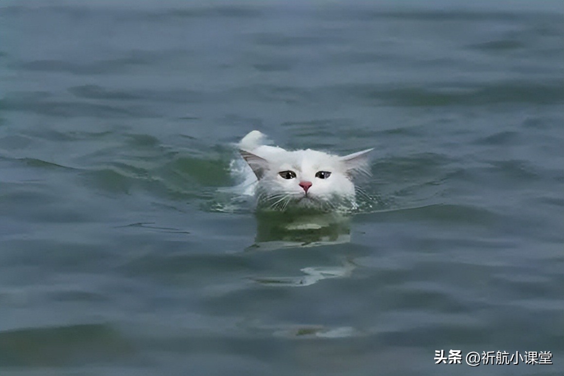 泡温泉跟会不会游泳有什么关系,泡温泉有讲究警惕温泉病