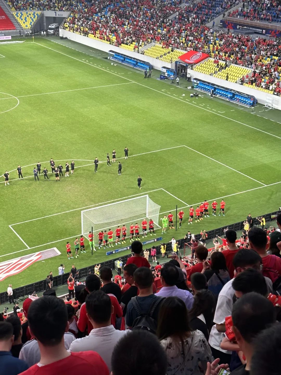 30年过去，死去的成体记忆在凤凰山复活了吗