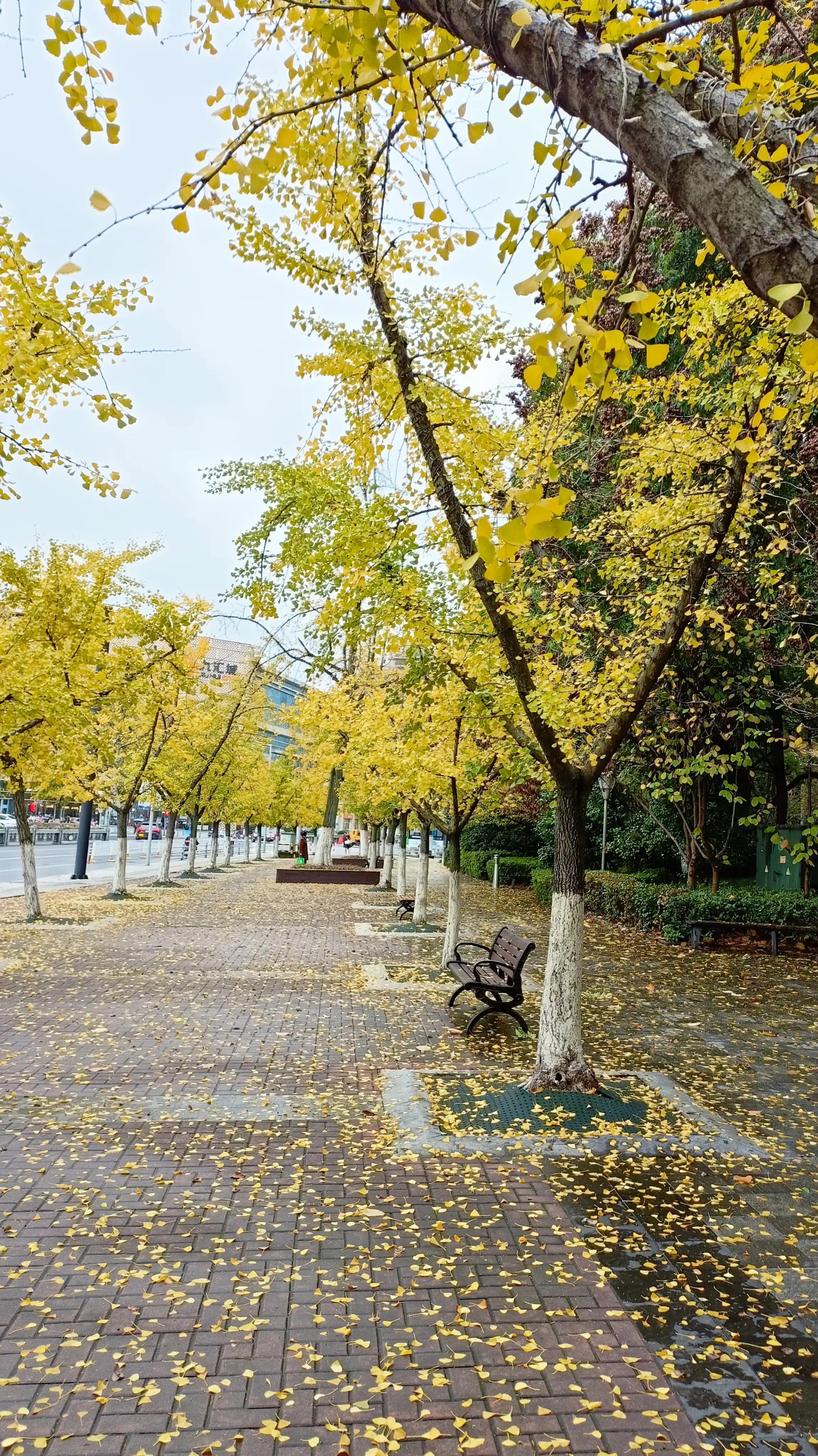 世界杯看见足球能想到什么,世界杯看到他们你想起什么