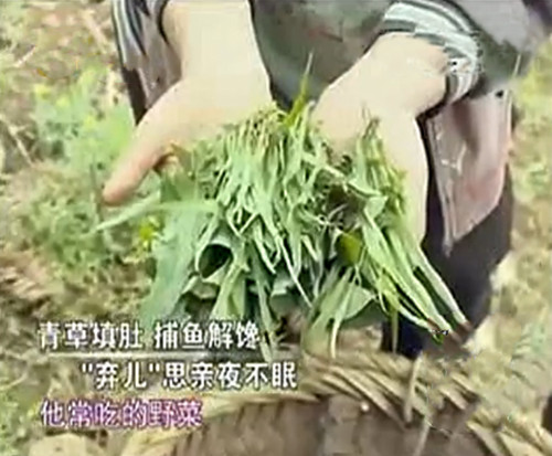 广西孤儿杨六斤现在的状况,广西孤儿杨六斤生活视频