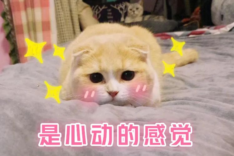 卿卿日常白敬亭田曦薇撒娇花絮,卿卿日常田曦薇白敬亭所有花絮