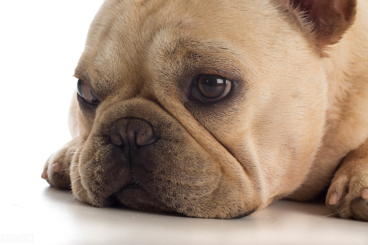 借条怎样才有法律效果,借条怎么做才有法律效应