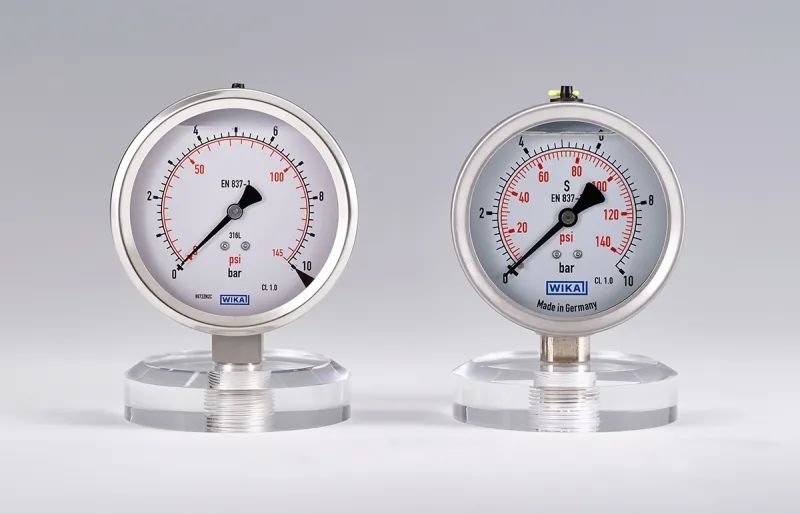 德国抄袭奖,2021金鼻子剽窃奖名单