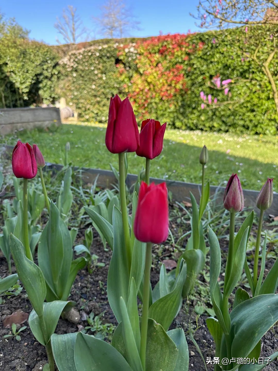 从几百涨到几万衣服品牌,从几百到几千再到几万