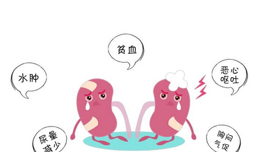 男性尿液有泡沫就是肾出了问题吗,小便有细小泡沫肾没问题怎么回事