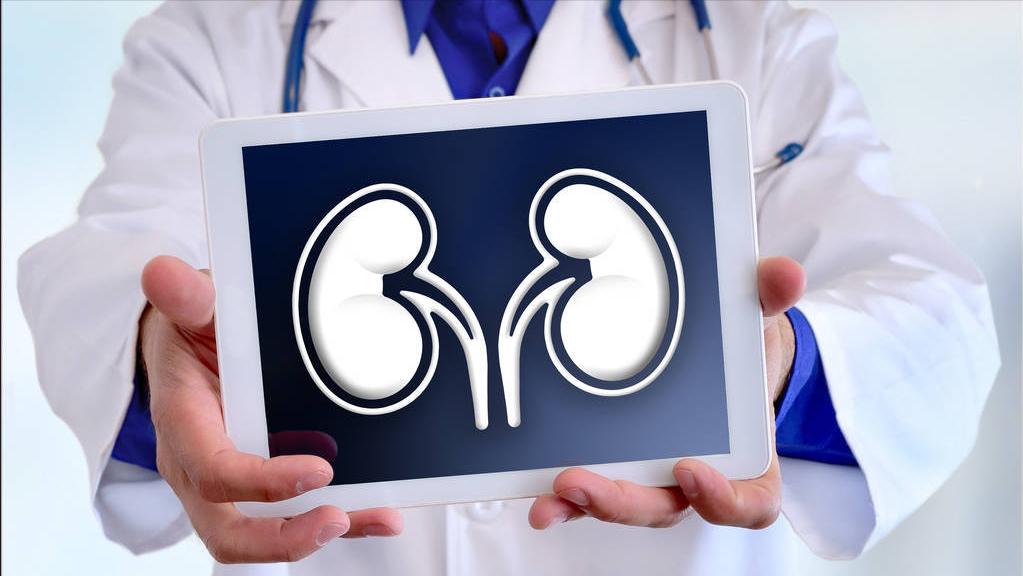 为什么高尿酸不建议吃非布司他,尿酸高伤害哪些内脏