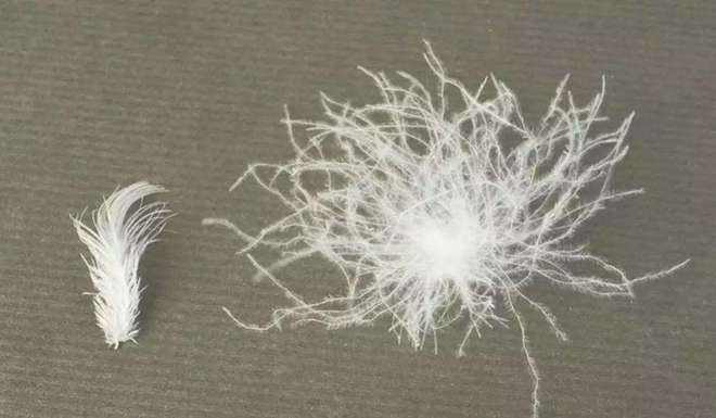 鉴别蒙口羽绒服真伪的简单方法,怎么判断羽绒服是好还是坏