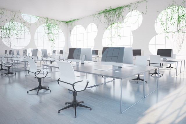 小学英语单词打卡（二上C）