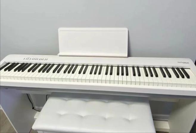 初学者买哪款电钢琴比较好,初学哪款电钢琴好