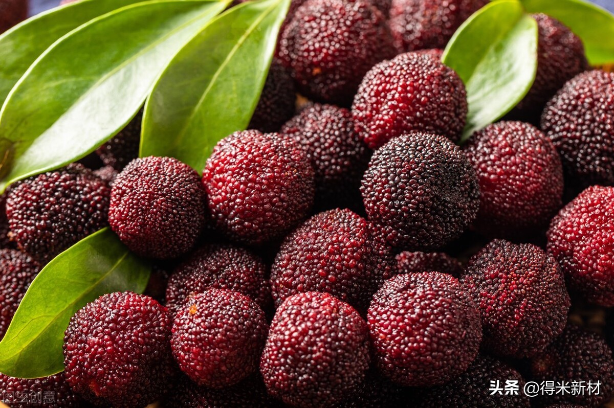 杨梅虫子有蛋白质吗,杨梅有虫子怎么吃