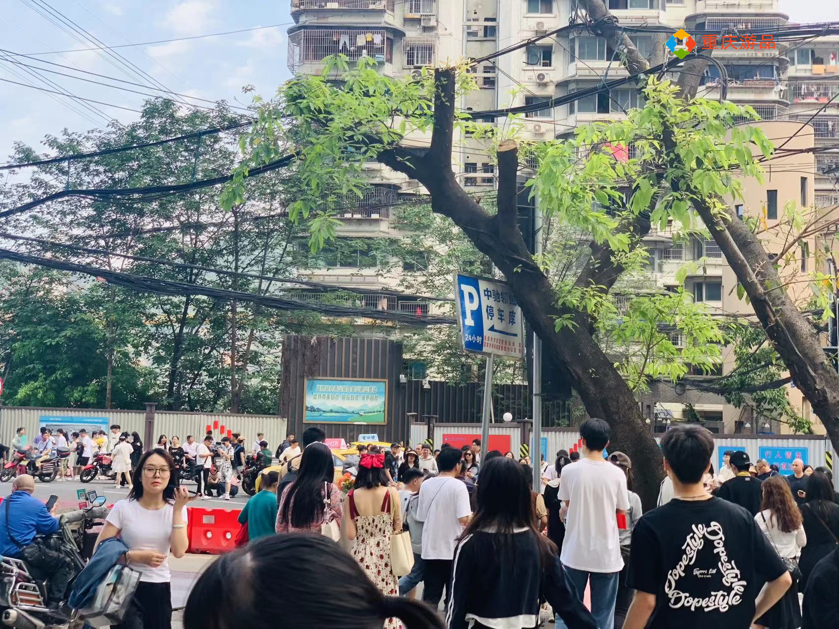 来重庆亲子游的保姆级推荐,重庆旅游保姆级景点合集