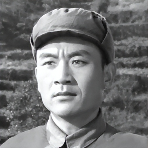 关于革命的小说红日简介,长篇小说红日沈振新的原型是谁