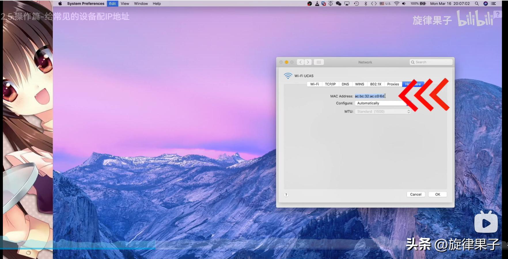 ip地址分配操作,mac地址绑定解决ip冲突