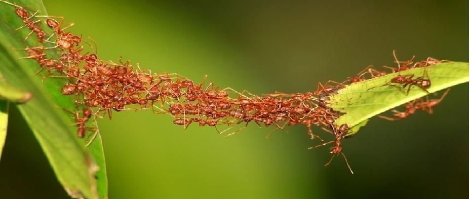 临沂兰华物流搬迁,临沂河东华阳物流搬迁