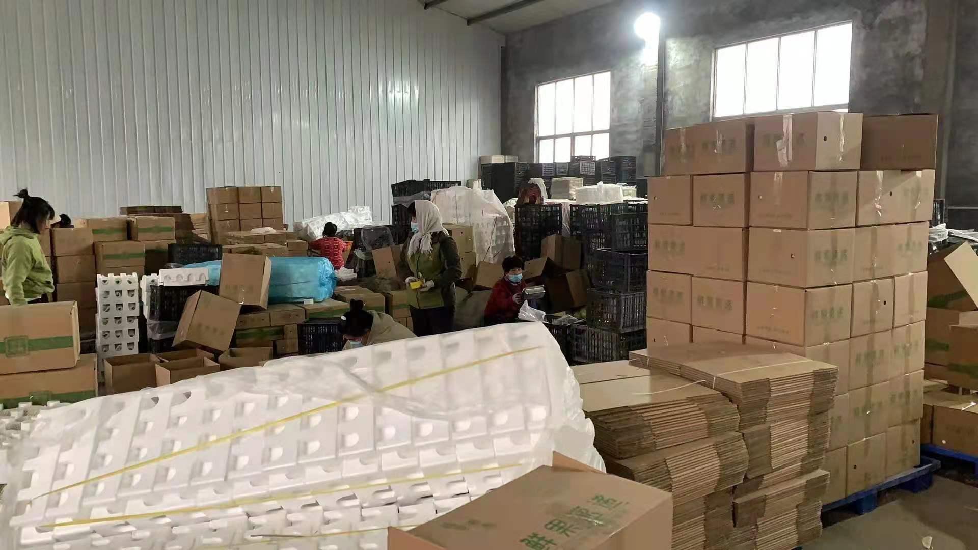 返乡创业卖水果,00后裸辞创业卖水果