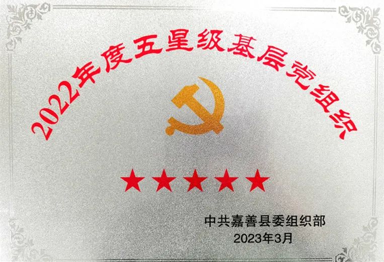 嘉善新世纪学校2024年招生,嘉善县重点建设的学校