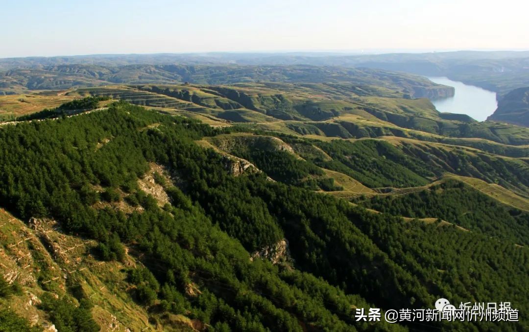 创新思路推进黄河生态保护,两会聚焦黄河流域生态保护