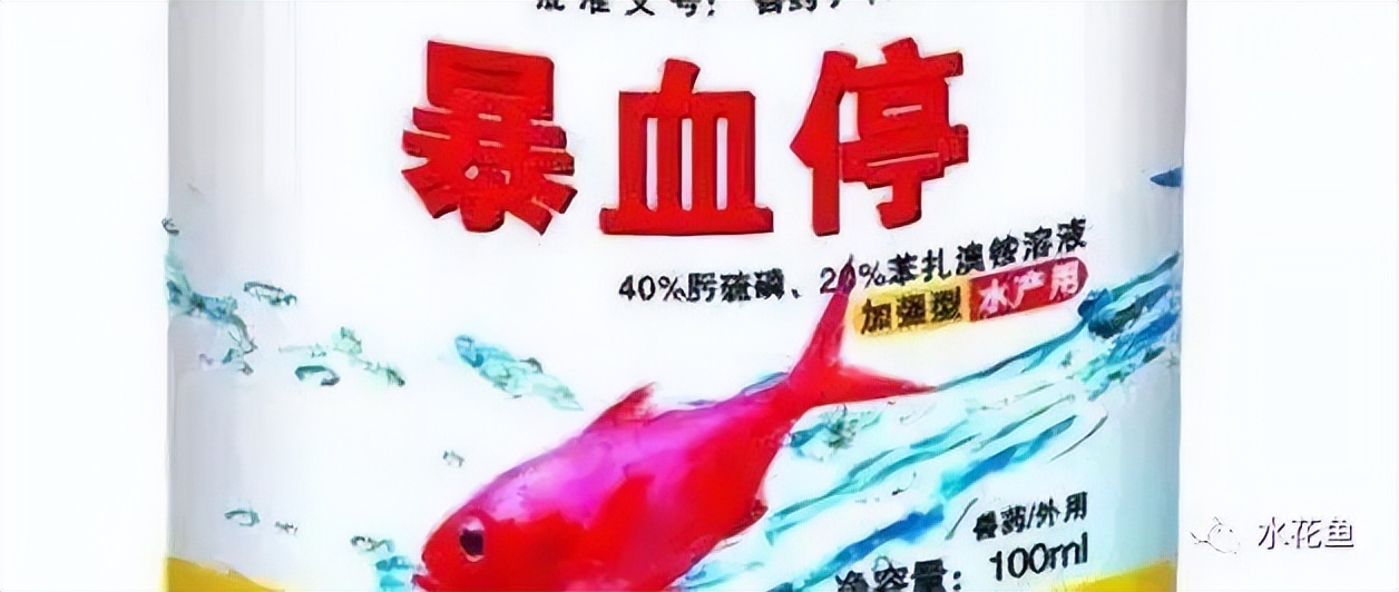 鱼出现败血症怎么治疗,鱼得了败血症怎么治