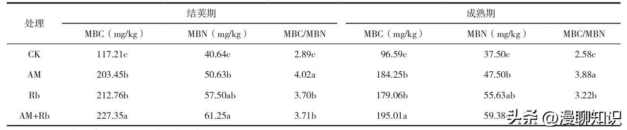 丛枝菌根真菌介绍,丛枝菌根对植物的影响