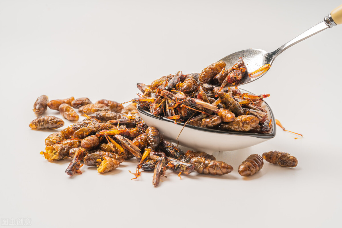 鲤鱼发物中医解释,中医论发物