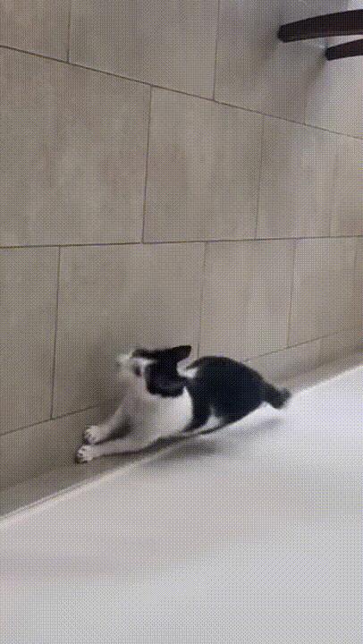 快乐源泉高能瞬间,快乐源泉8693