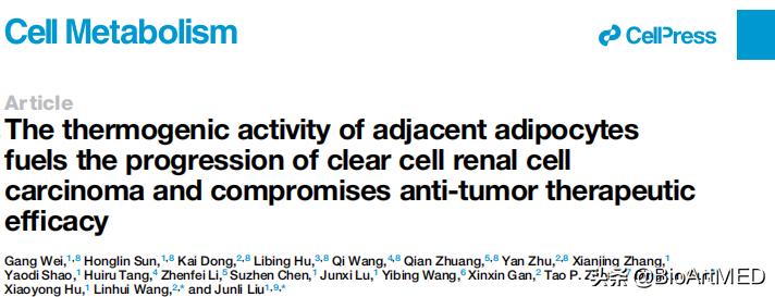刘军力/王林辉团队发现肾周脂肪棕色化促癌新机制