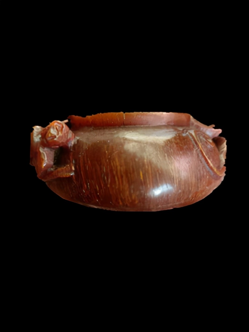 亚洲犀牛角图,亚洲犀牛角欣赏