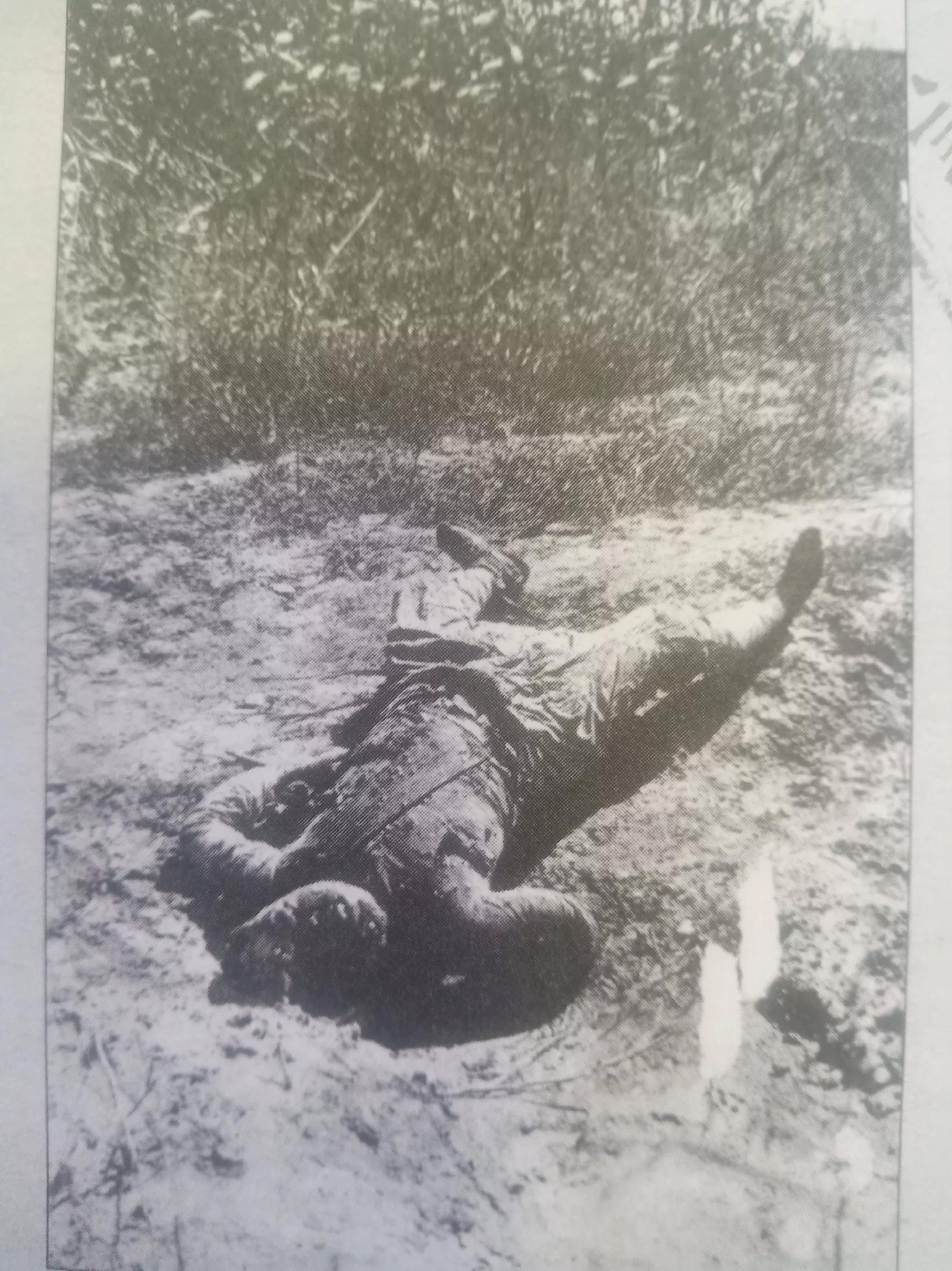 日军侵华纪录片四小时,九一八事变后日军在东北的暴行